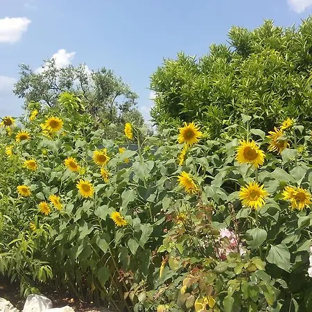 Nocleg ze śniadaniem Oceano 4*