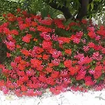 Bed & Breakfast Oceano 4*