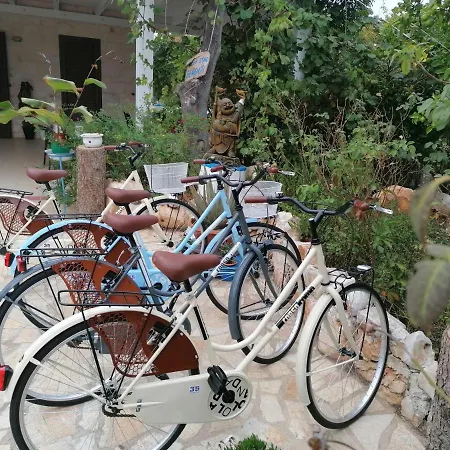 Oceano Bed & Breakfast