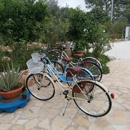 Bed & Breakfast Oceano