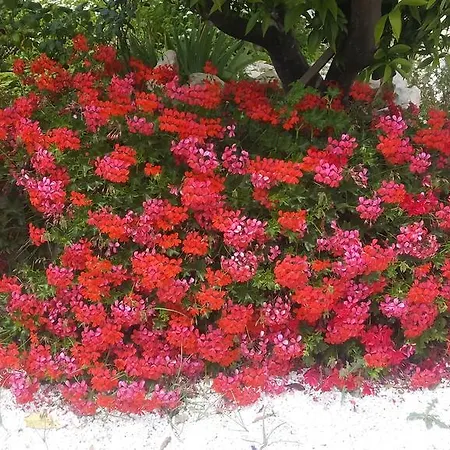 Bed & Breakfast Oceano 4*