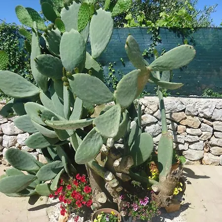 Bed & Breakfast Oceano Monopoli